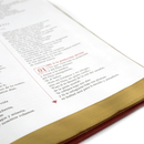 SANTA-BIBLIA-CON-GRABADOS