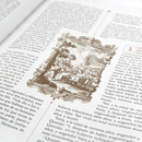 SANTA-BIBLIA-CON-GRABADOS