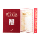 SANTA-BIBLIA-CON-GRABADOS