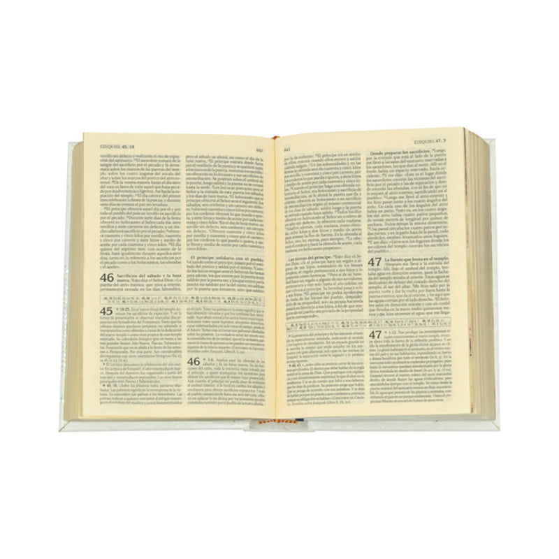 LA SAGRADA BIBLIA AMERICA - CLASICA 25 AÑOS