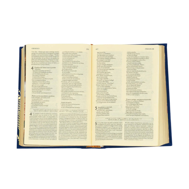 SAGRADA-BIBLIA-DE-AMERICA-CLASICA-MATRIMONIO